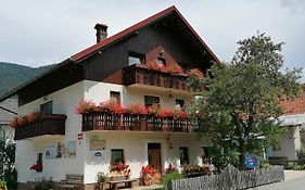 Apartments & Rooms Smucka