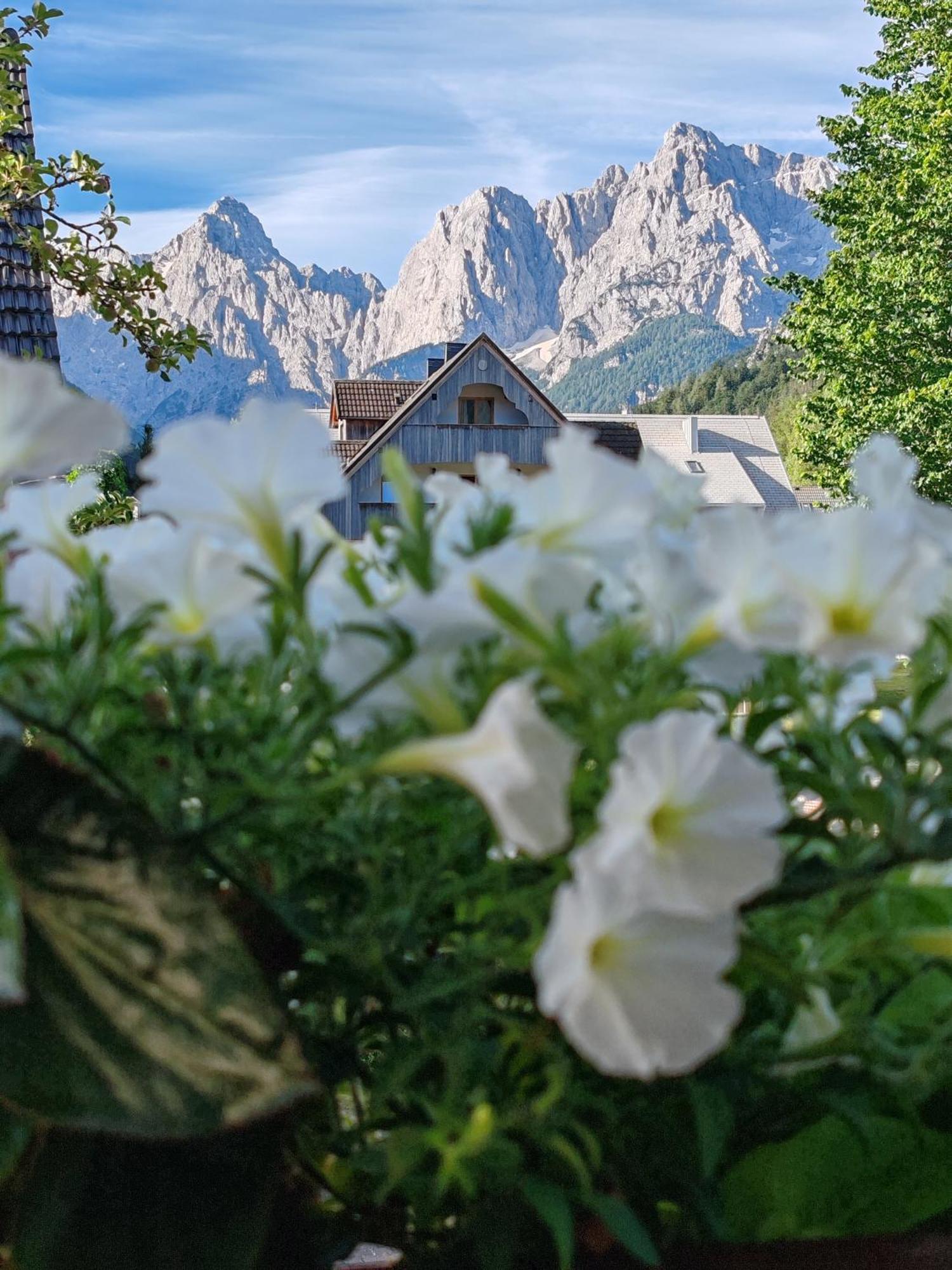 Apartments & Rooms Smucka Kranjska Gora Extérieur photo